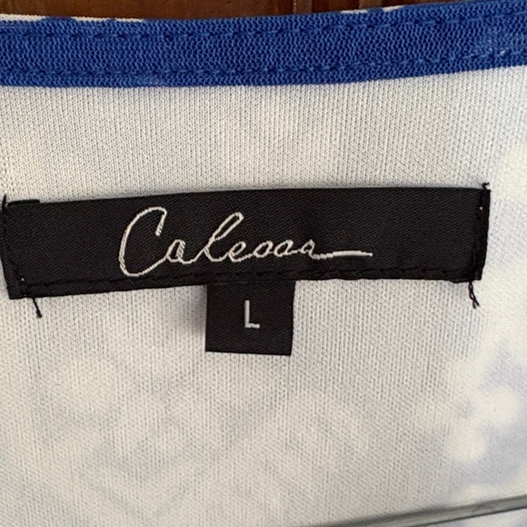 NWT Gorgeous Blue and White Maxi Dress - Picture 4 of 8